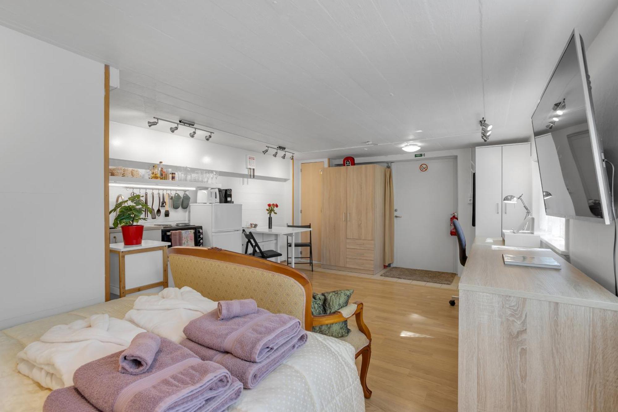 Lara Studio In Laugardalur Valley, Reykjavik Central Park And Botanical Garden, Private Entrance, Free Private Parking On Side Luaran gambar